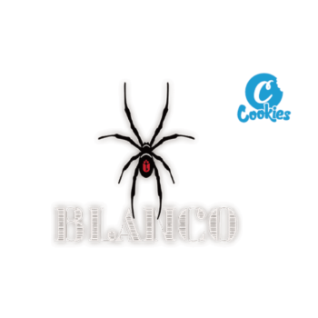 THC-A FLOWER ''BLANCO'' (HYBRID)